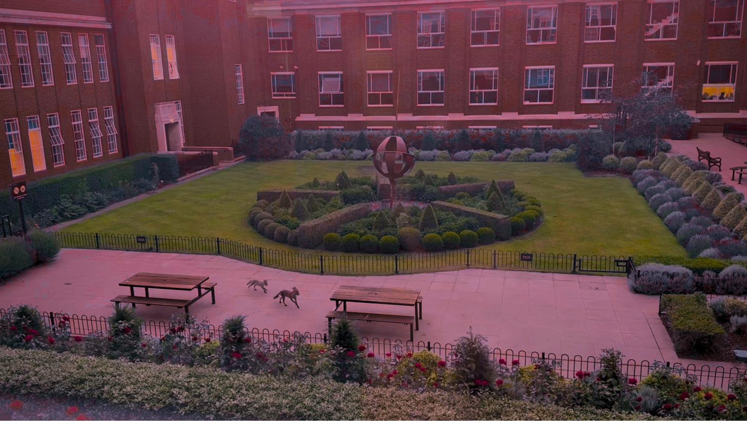 Regent's University London campus